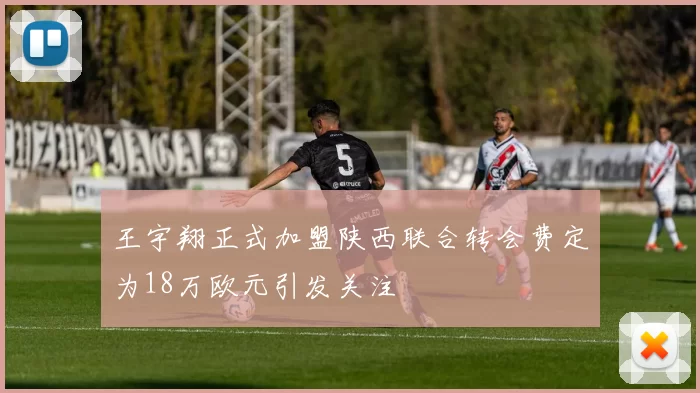 王宇翔正式加盟陕西联合转会费定为18万欧元引发关注